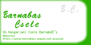 barnabas csele business card